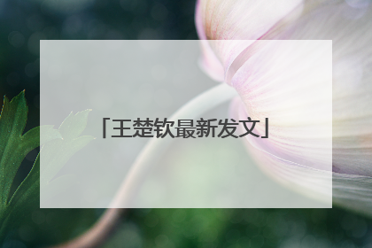 王楚钦最新发文